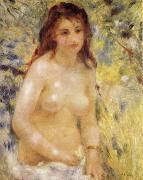 Pierre-Auguste Renoir The female nude under the sun Sweden oil painting artist